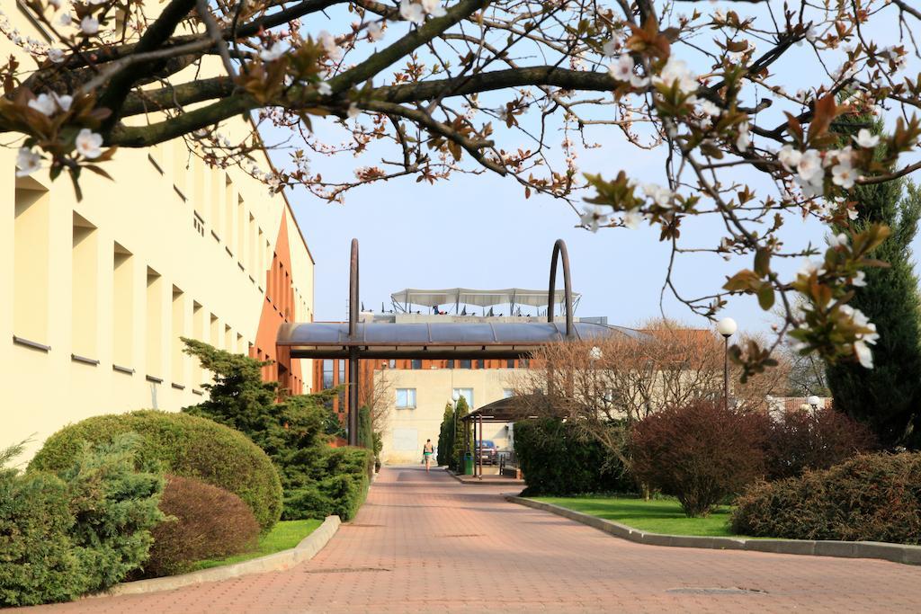 Centrum Konferencyjne IBIB PAN Warschau Exterior foto